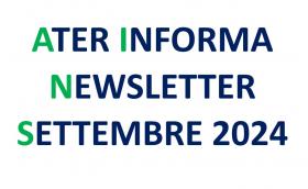 NEWSLETTER n 3